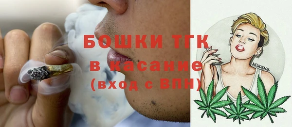 индика Вязники