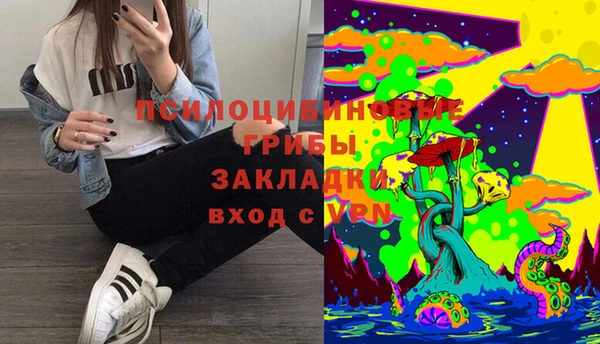 дурь Верея