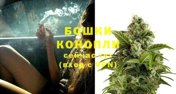 индика Вязники