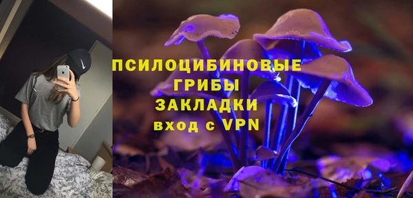 прущая мука Богородицк
