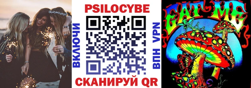 Купить закладки Минеральные Воды Псилоцибиновые грибы Psilocybe